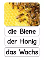 Vorschau - Bildkarten - FREEBIE Bildkarten und Wortkarten Nutztiere - Seite 2