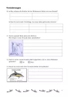 Vorschau - Arbeitsblätter - Aufgaben zum Buch "Mark und der geheimnisvolle Delfin" - Seite 3
