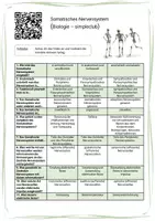 Vorschau - Arbeitsblätter - Somatisches Nervensystem (videogestützt) - Seite 1