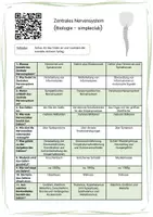Vorschau - Arbeitsblätter - Zentrales Nervensystem (videogestützt) - Seite 1