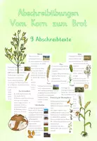 Vorschau - Arbeitsblätter - Abschreibübungen Vom Korn zum Brot - Deckblatt