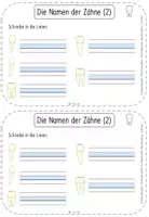 Vorschau - Arbeitsblätter - Unsere Zähne - Miniheft für die 1. Klasse - Seite 3