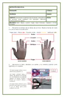 Vista previa - Unidades / Secuencias / Situaciones de Aprendizaje - Ficha 3. El Uso de las tijeras y el recortado - Portada