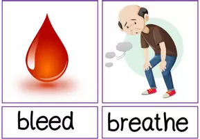 Vorschau - Bildkarten - at the doctors flashcards englisch Klasse 4 - Seite 2