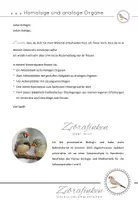 Vorschau - Arbeitsblätter - Homologe und analoge Organe - Seite 1
