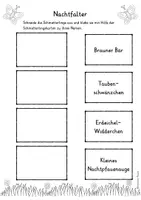 Vorschau - Arbeitsblätter - Tagfalter und Nachtfalter - heimische Schmetterlinge unterscheiden - Seite 1