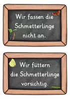 Vorschau - Arbeitsblätter - 3. Sequenz - Regeln im Umgang mit Raupen & Schmetterlingen - Seite 3
