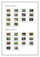 Vorschau - Stationenlernen - Fächer Waldtiere - Seite 3