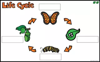 Vorschau - Arbeitsblätter - Butterfly Life Cycle - Legematerial - Seite 2