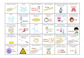 Vorschau - Spiele - Bakterien - Bingo Spiel - Seite 1