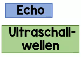 Vorschau - Poster - Tafelmaterial Echoortung Fledermaus Sachunterricht - Seite 2