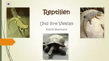 Vorschau - Arbeitsblätter - Reptilien - Seite 1