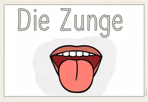 Vorschau - Präsentationen/Tafelbilder - Die Zunge - Tafelmaterial - Seite 1