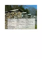 Vorschau - Arbeitsblätter - Holz als Kohlenstoffspeicher - Seite 2