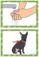 Vorschau - Poster - SCHULHUND - Regeln im Schulalltag/ im Klassenraum - Seite 1