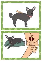 Vorschau - Poster - SCHULHUND - Regeln im Schulalltag/ im Klassenraum - Seite 3