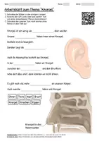 Vorschau - Arbeitsblätter - Arbeitsblatt "Knorpel" + Onlineübung & MP3 + - Deckblatt