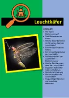 Vorschau - Unterrichtsreihen - Leuchtkäfer - Deckblatt
