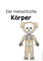Vorschau - Arbeitsblätter - MENSCHLICHE KÖRPER - Arbeitsheft und Materialien - Seite 1