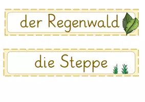 Vorschau - Stundenentwürfe - Lebensräume in Afrika- Tafelmaterial- Inforkarteien- Stundenvorschlag - Seite 3