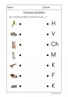 Vorschau - Arbeitsblätter - Haustiere (Heimtiere): Paare verbinden - Seite 3
