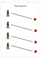 Vorschau - Arbeitsblätter - Der Hund: Materialsammlung Kindergarten/Vorschule - Seite 3