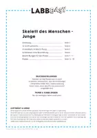 Vorschau - Arbeitsblätter - Skelett des Menschen - Vorlagen für 2 Poster - Seite 3