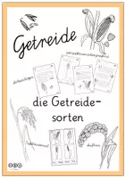 Vorschau - Unterrichtsreihen - Kurzeinheit: Getreidesorten - Deckblatt