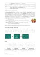 Vorschau - Unterrichtsreihen - Gedichtinterpretation "Grundwissen" - Seite 2