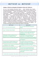 Aperçu - Feuilles d'exercices - Biologie: Mitose vs. Meiose - Page 2