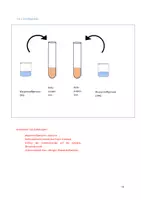Vorschau - Stundenentwürfe - UB Bio Enzymatik - Einfluss Substratkonzentration (Experiment) - Deckblatt
