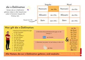 Vorschau - Spiele - Brettspiel: N-Deklination - print & digital - Seite 1