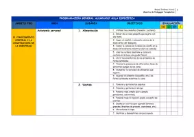 Vista previa - Unidades / Secuencias / Situaciones de Aprendizaje - Diseño de programación general para alumnado de aula específica de educación especial - página 1
