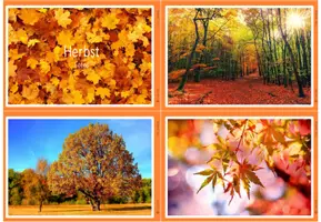 Vorschau - Bildkarten - Fotos - Herbst - Deckblatt