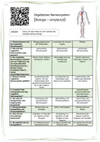 Vorschau - Arbeitsblätter - Vegetatives Nervensystem (videogestützt) - Seite 1