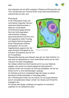 Vorschau - Stundenentwürfe - Rund um Zellen und Fotosynthese, Priestley Texte Aufgaben Lösung - Seite 2