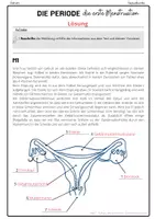 Vorschau - Stundenentwürfe - Menstruation - Periode- (Stundenentwurf) Sexualkunde - AB + Tafelmaterial - Seite 2