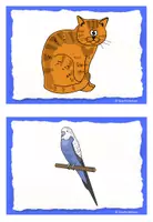 Vorschau - Präsentationen/Tafelbilder - Easy English grammar: singular and plural (pets) - Seite 1