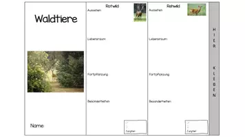 Vorschau - Arbeitsblätter - Waldtiere Leporello - Seite 3