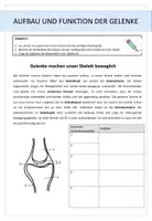 Vista previa - Hojas de trabajo - Biologie: Der Mensch - Gelenke - página 1