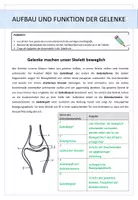 Vista previa - Hojas de trabajo - Biologie: Der Mensch - Gelenke - página 2