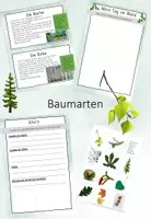 Vorschau - Stundenentwürfe - Baumarten - Deckblatt