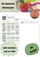 Vorschau - Arbeitsblätter - Somatisches Nervensystem (videogestützt) - Deckblatt