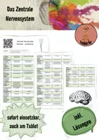 Vorschau - Arbeitsblätter - Zentrales Nervensystem (videogestützt) - Deckblatt