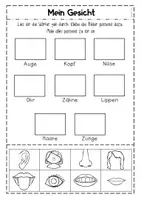 Vorschau - Arbeitsblätter - Mein Körper - Schneiden und Kleben - Seite 3