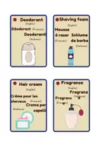 Aperçu - Cartes / Images - Cartes avec des mots en ANGLAIS, FRANÇAIS ET ITALIEN - Page 1