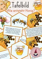 Vorschau - Stationenlernen - Tafelbild: Wie entsteht Honig/ Honigherstellung/ Honigproduktion - Deckblatt