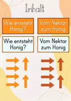 Vorschau - Stationenlernen - Tafelbild: Wie entsteht Honig/ Honigherstellung/ Honigproduktion - Seite 1