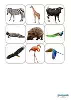 Vorschau - Stationenlernen - Tiermatch, Passende Tiersuche, Animal Matching - Seite 1