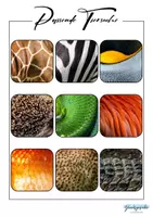 Vorschau - Stationenlernen - Tiermatch, Passende Tiersuche, Animal Matching - Seite 3